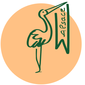 Cigogne